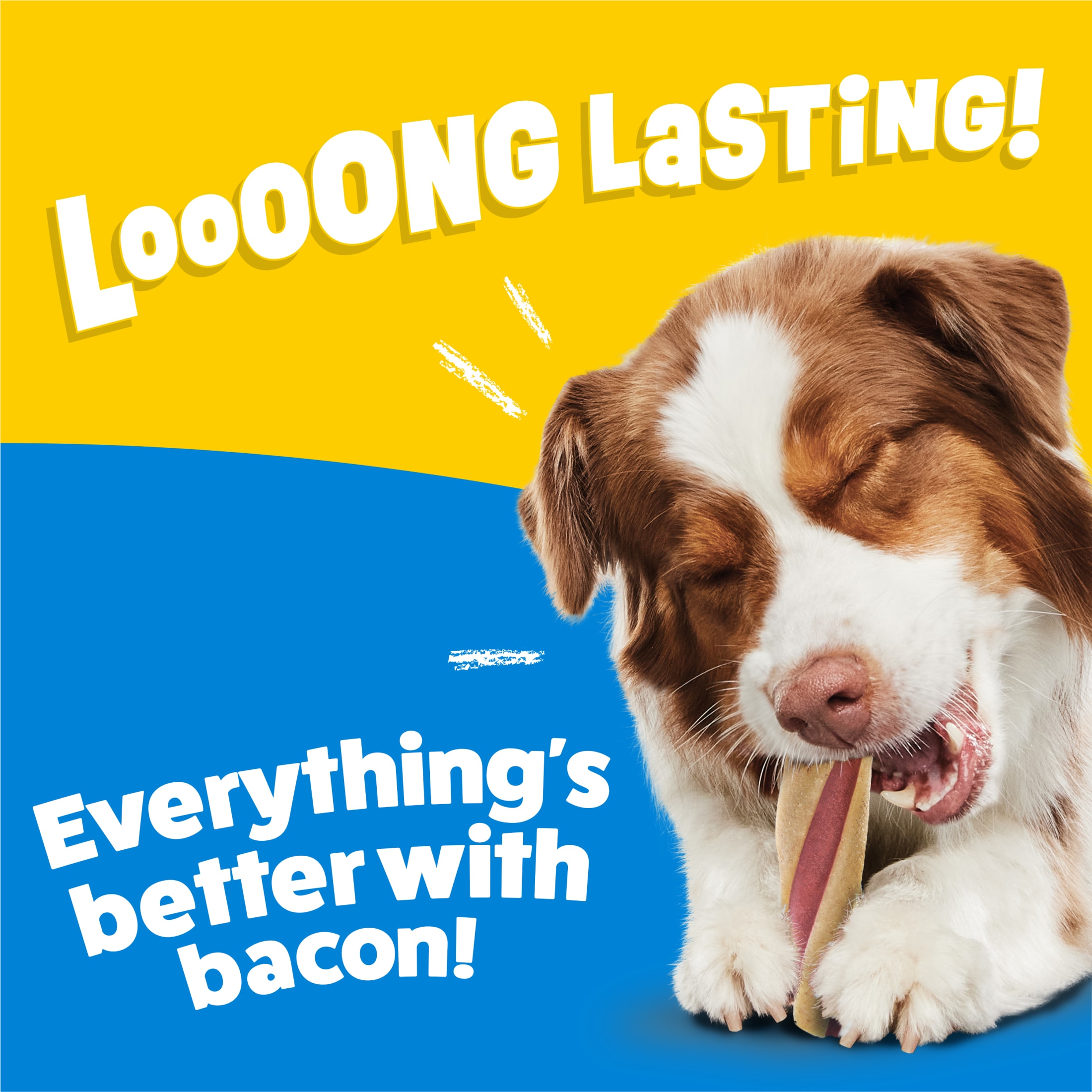 Busy Twist'd With Beggin' Large Dog Chew Treats, 36 oz, 4 Pack photo 3