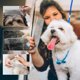 thumbnail image 5 of 6 PCS Combs Pet Corns con extremos redondeados Dientes de acero inoxidable para mascotas largas y cortas, 5 of 5