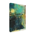 thumbnail image 2 of Trademark Fine Art 'Underlying I' Canvas Art by Sue Jachimiec, 2 of 4