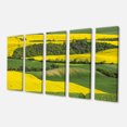 thumbnail image 2 of Rapeseed Fields and Green Wheat - Landscape Canvas Art Print, 2 of 3