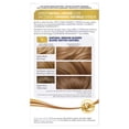 thumbnail image 3 of Nice'n Easy Classic Permanent Hair Color - Original Liquid Formula, 3 of 6