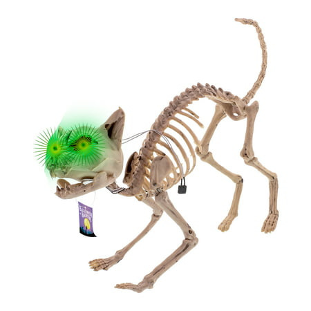 Halloween Haunters Skeleton Meowing Kitty Cat Light-Up Green Eye Prop Decoration