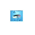 thumbnail image 1 of EE Systems Group EE801RGB-1 Solar Power Color RGB LED Floating Pool Patio Garden Porch Path Decor Light Lamp, 1 of 15