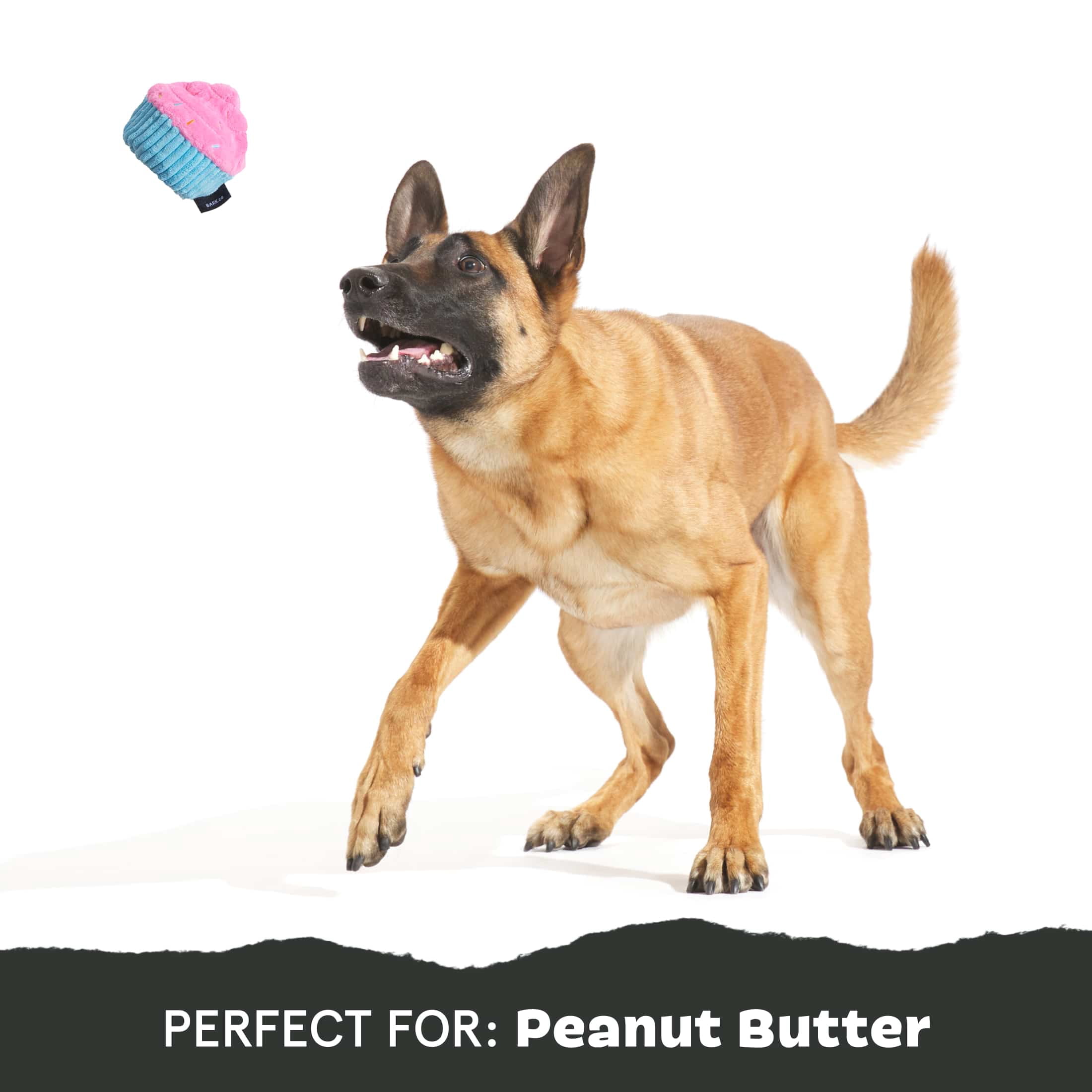 BARK Cup Kate Durable Plush Dog Toy for Active Pups