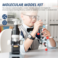 thumbnail image 4 of 2X Molecular Model Kit, Organic Molecular Chemistry Set, Atom Element Model Kit for Lessons , Structures Building Kit,2x Molecular Model Kit,Photo Color, 4 of 8