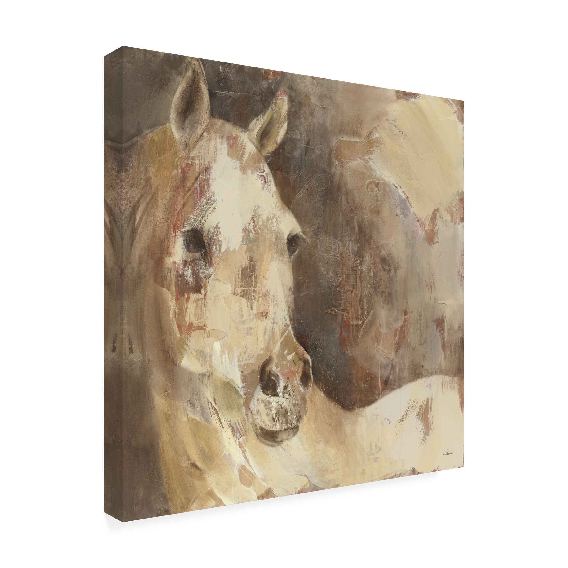 Trademark Fine Art 'Jasmine White Horse' Canvas Art by Albena Hristova