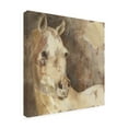 thumbnail image 4 of Trademark Fine Art 'Jasmine White Horse' Canvas Art by Albena Hristova, 4 of 4