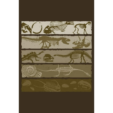 Dinosaur Fossil Layers (16x24 Giclee Gallery Art Print, Vivid Textured Wall Decor)