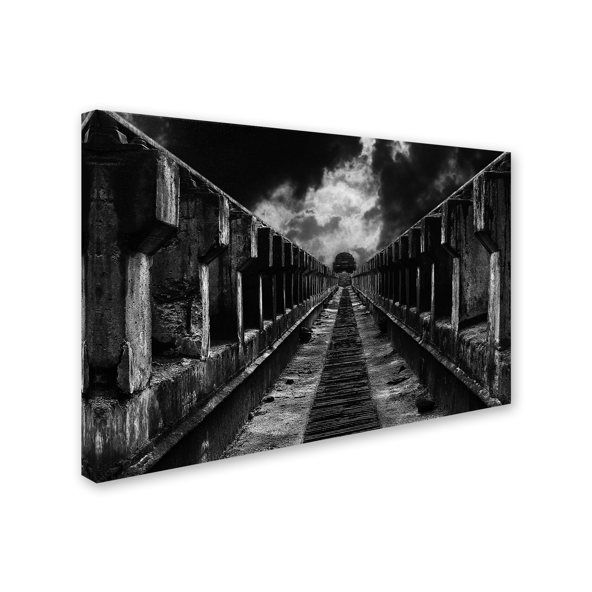 Mladjan Pajkic 'To The Train' Canvas Art