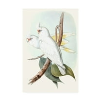 Trademark Fine Art 'Pastel Parrots II' Canvas Art by John Gould