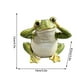 thumbnail image 2 of Estatua de rana para jardín | Figura de resina para exteriores para decorar patios y jardines | Adorno de jardín divertido y divertido, 2 of 5