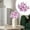 AG1_Pink 17.71", variant on ERTZAE Artificial Calla Lily Decor,Calla Lily Table Centerpiece,Diy Floral Bouquet,Elegant Bridal Shower Decor,Deep Purple Artificial Calla Lily Stem 22Inch,Latex Flower for Wedding Bouquet or Vase