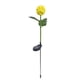 thumbnail image 1 of Luces solares de flores decorativas para exteriores, luces solares impermeables de crisantemo para exteriores, 1 of 5
