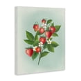 thumbnail image 2 of Stupell Industries Traditional Vintage Strawberry Bundle Canvas Art, 16 x 20, by Diane Neukirch, 2 of 8