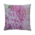 thumbnail image 2 of Ahgly Company Color Focus Pink Indoor Throw Pillow, 18 inch by 18 inch, 2 of 6
