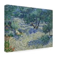 thumbnail image 4 of Van Gogh 'Olive Orchard' Canvas Art, 4 of 4