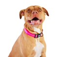 thumbnail image 2 of Gf Pet  Reflective Collar (pack Of 1), 2 of 6