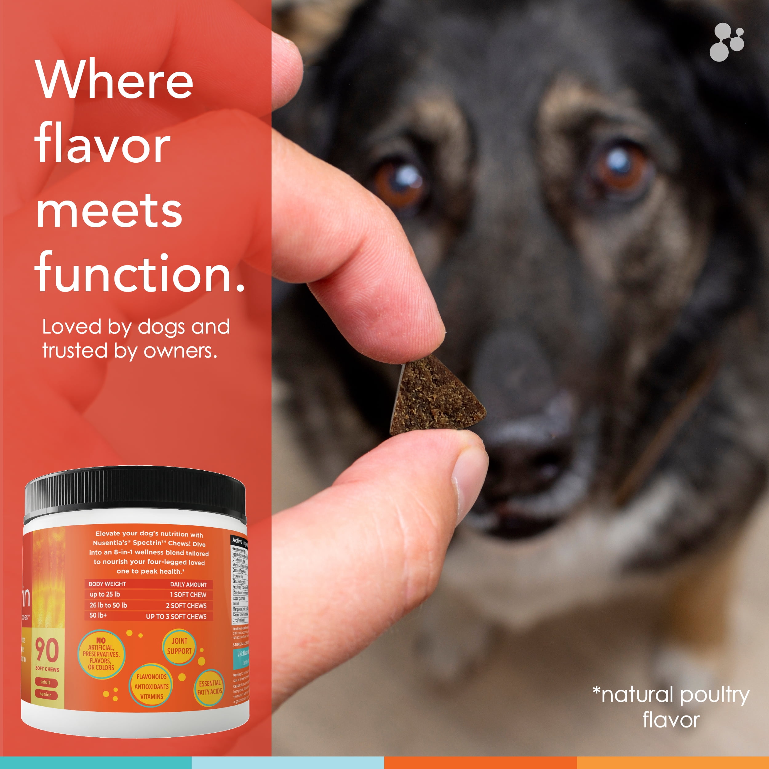 Vitamin Treats with Glucosamine for Dogs : Spectrin Soft Chews (90 CT) :  Hip & Joint Support + Antioxidants