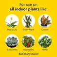 thumbnail image 4 of Miracle-Gro Indoor Plant Food, Liquid Plant Food for Houseplants, Snake Plants, Peace Lilies, Flowers, Vegetables, Herbs and More, 8 oz., 3-Pack, 4 of 8