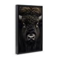 thumbnail image 2 of Stupell Industries Rustic Lodge Bison Portrait Close Up Black Floating Frame Canvas Art, 17 x 25, by Creative Studio, 2 of 8