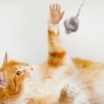 thumbnail image 4 of Mini manos modelo gatos masajeador guantes de aseo divertidos guantes de silicona gato divertido juguete, 4 of 9
