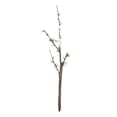 thumbnail image 3 of Arreglo Floral De Ramas Artificiales De Ciruelo Para Jardín, Oficina, Boda, Blanco, 3 of 8