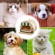 thumbnail image 4 of Indoor Dog House – Dog House for All Breeds of Dogs, Pet Cats, Warm Winter Bed Dog Houses, Pet Beds, 4 of 5