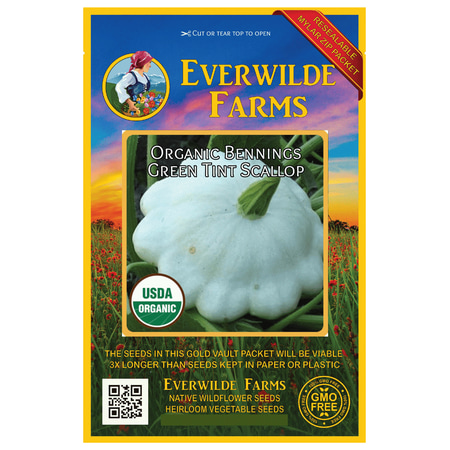 - Everwilde Farms - 20 Organic Bennings Green Tint Scallop Summer Squash Seeds - Gold Vault Jumbo Bulk Seed Packet