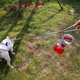 thumbnail image 3 of Pala para excrementos de perro, pala portátil para excrementos de perros grandes y pequeños, limpiador de excrementos para perros con dispensador de bolsas Rojo Verde Cocina, Decoración y Otros, 3 of 4
