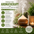 thumbnail image 5 of Tea Tree Essential Oil 100% Pure - 16 fl oz - Aluminum Bottle - GreenHealth, 5 of 10