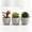 1, variant on mirlewaiy Potted Faux Succulents, 3 Pack Decorative Artificial Cactus Plants
