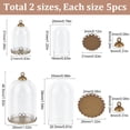 thumbnail image 2 of 1bag 10 sets 2 styles Glass Dome Cover Decorative Display Case Cloche Bell Jar Terrarium with Alloy Base Antique Bronze 21~26x37~46.5mm Inner Diameter: 16~20.5mm 5 sets/style, 2 of 5