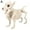 White Dog, variant on Jahhsay® SKELETON DOG HALLOWEEN DECORATION LIGHT UP SPOOKY PARTY DECORATION NEW C1Z3