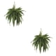 thumbnail image 4 of Plantas artificiales colgantes Injueey verde 6 pulgadas 2Conjunto, 4 of 6