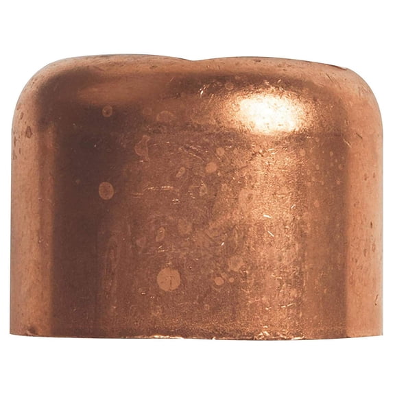 Elkhart Products Tube Cap - Copper, 1 Inch