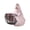Pink, variant on HannLk Iron Resin Hen Storage Basket Detachable Hen Figurine Organizer Container