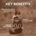 thumbnail image 5 of Forza10 Wet Cat Food Kidney Renal Support, Lamb Flavor, for Adult Cats 3.5oz, 32 Pack, 5 of 14
