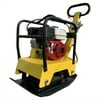 Honda GX160 Reversible Plate Compactor Vibratory Walk Behind Tamper Rammer