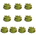 thumbnail image 2 of 10x Fake Succulents Small Vivid Useful Simulated Plants Multi-functional Lifelike Photo Props for Household Yards Lawn Flowerpot Type 39, 2 of 9