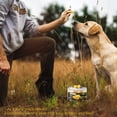 thumbnail image 6 of 2.82 OZ Freeze Dried Cat and Dog Treats Quail Egg Yolk, Healthy Tasty Snacks for Pet Training, Natural Freeze-Dried Limited Ingredient Quail Egg Yolk, 6 of 8