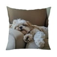 thumbnail image 2 of 18x18 inch Funny Decorative Throw Pillow Covers, Pillow Cover, Animal Embroidery Square Pillowcase for Living Room, Bed Decor, Patio, Car, 2D Printed Style, 2 of 6