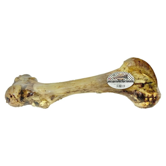 ChewMax Beef Femur Bone. Long Lasting Mammoth Dog Bones for Aggressive Chewers, Rawhide Free Healthy Dog Treat, Large Bones, Digestible Dog Chews