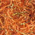 thumbnail image 1 of Relleno de papel rallado ondulado TANMWZK 227 g Naranja Claro y Dorado, 1 of 6