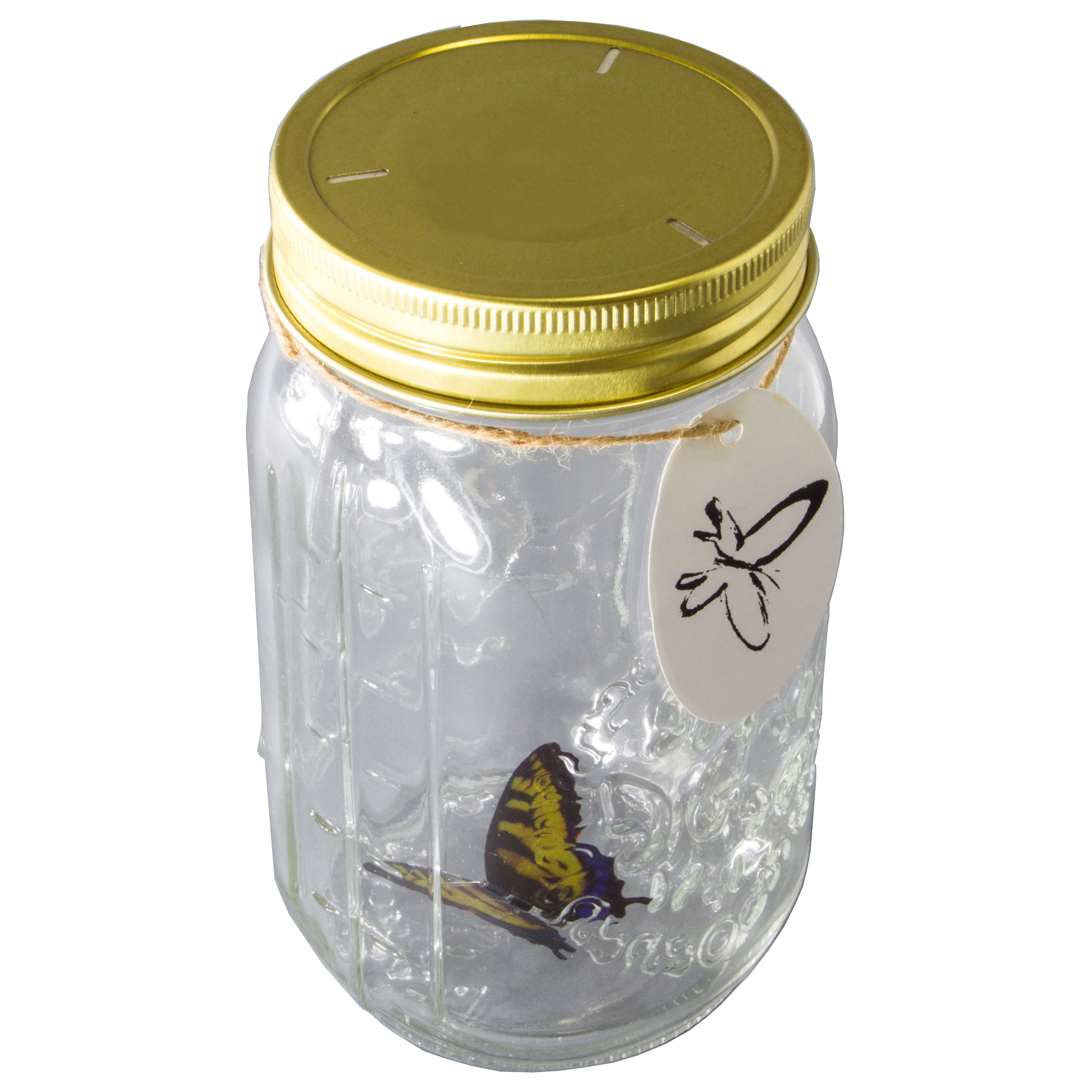 LED Flying Butterfly Bottle Glass Jar Night Light Romantic Gifts