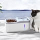thumbnail image 4 of Fuente de agua para gatos 2 en 1, cuenco para comida, fuente de agua segura para mascotas, 4 of 6