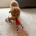 thumbnail image 6 of SPOT Skinneeez Stuffing-Free Mini Duck Dog Toy with Rope and Squeaker, 6 of 9
