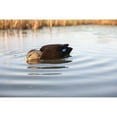 thumbnail image 4 of Avian-X Power Shaker Black Duck Motion Duck Decoy Floating Surface Feeder, Multicolor, 4 of 7