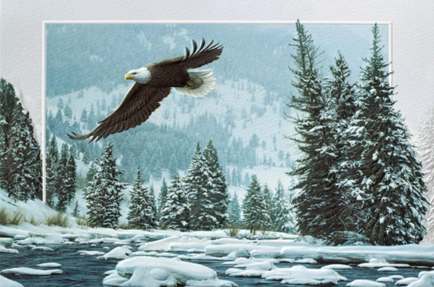 Pack of 16 Eagle Bird In Flight Fine Art Embossed Christmas Greeting Cards - Walmart.com