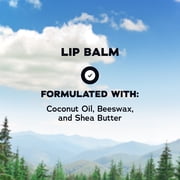 Dr. Squatch Holiday Gifts for Men – Mini Bar Soap, Mini Deodorant & Lip Balm – Wood Barrel Bourbon + Wild Watermelon (3-Pack)