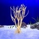 thumbnail image 5 of Acuario Tronco de madera flotante Árbol Micro Paisaje Ramas Hábitat Decoración Pecera 25-30 CM, 5 of 9